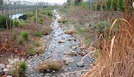 Tujunga wash greenway and stream restoration project